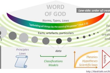 Law-side: order of creation diagram